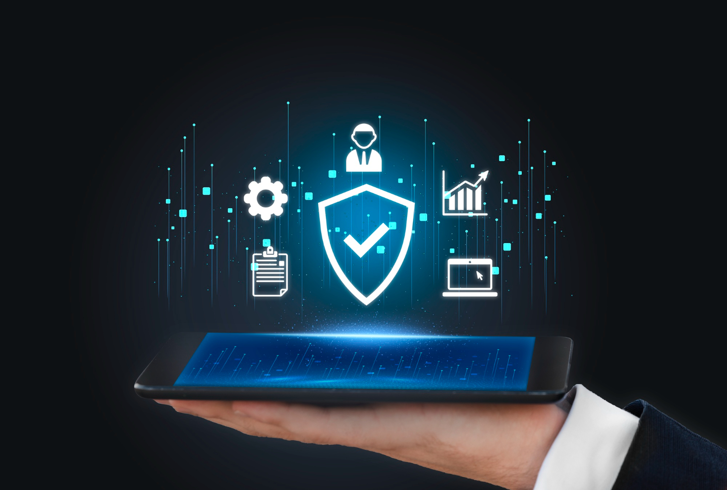 IT Security Services 1 What Are IT Security Services?