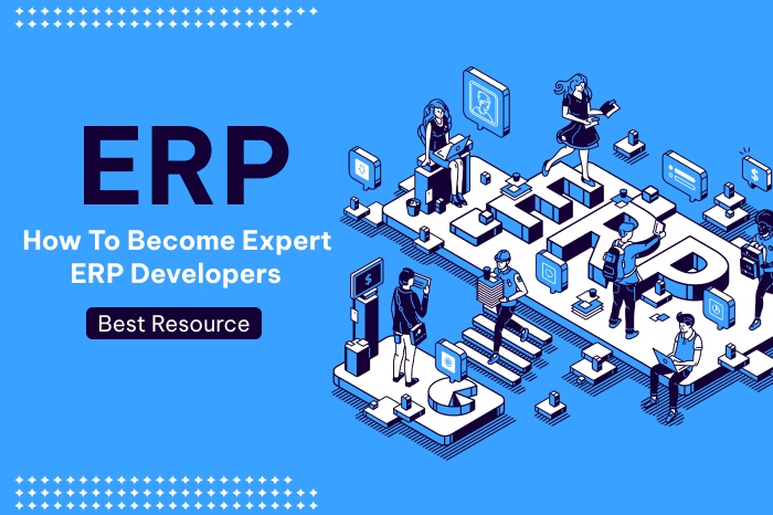 How-to-become-expert-ERP-developers-feature