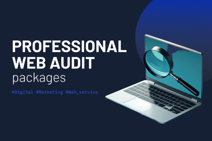 Professional-Web-Audit-Packages-Business