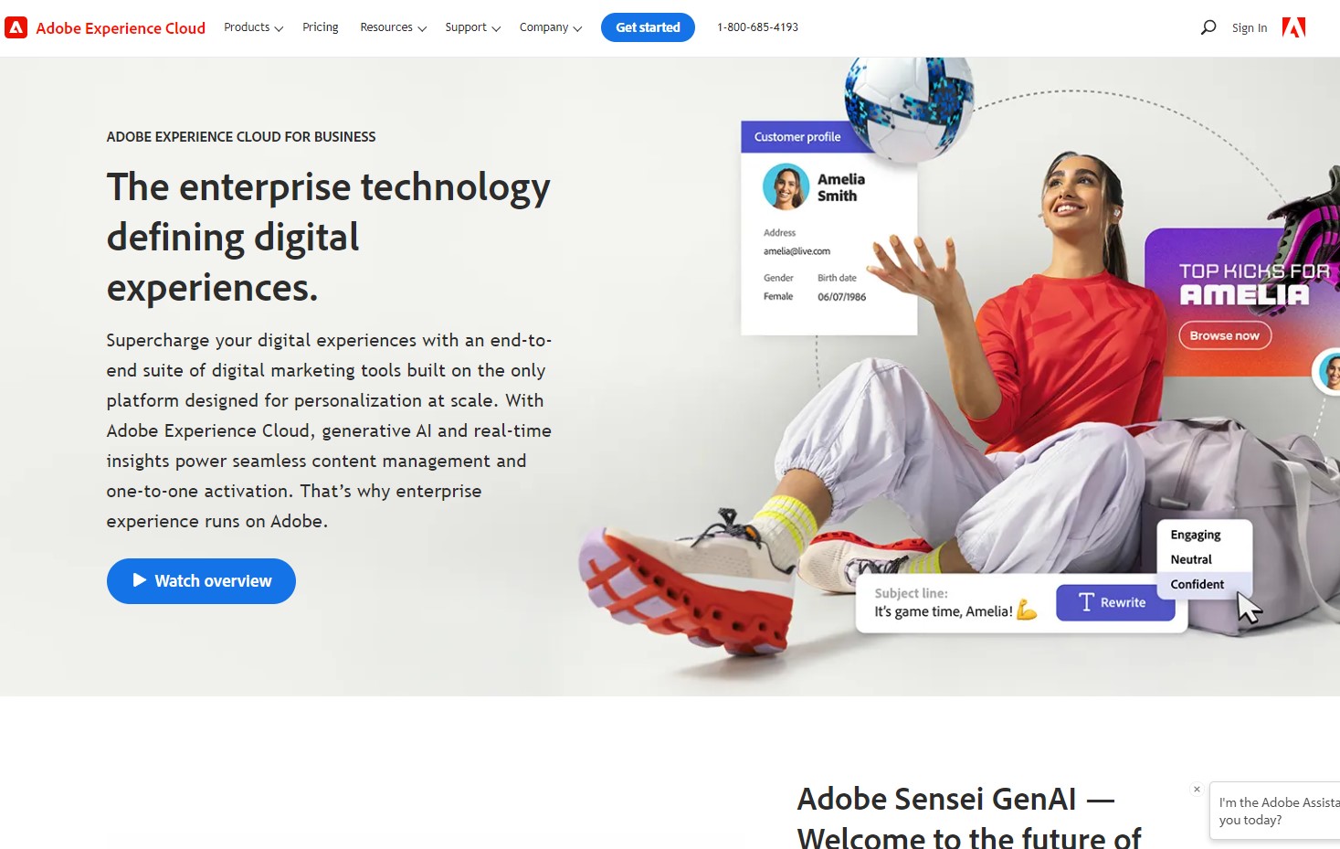 ecommerce-website-packages