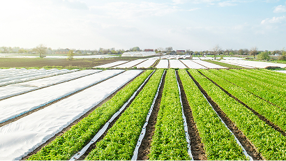 Agriculture
