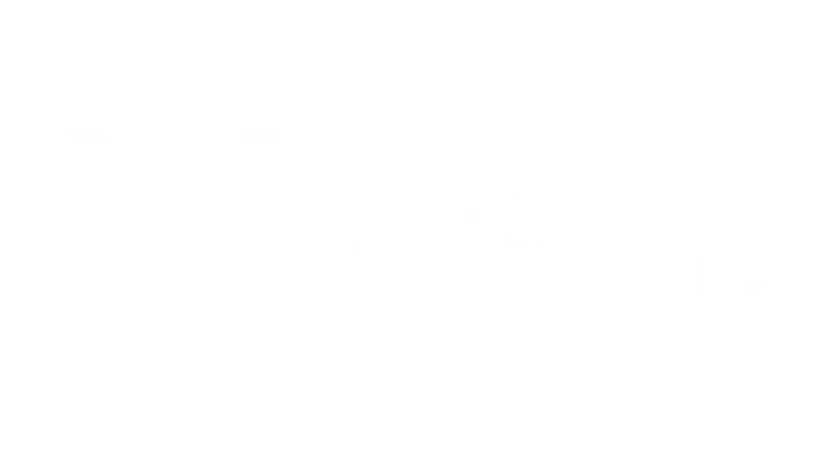 oracle netsuite logo