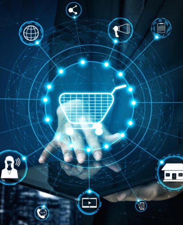 ERP & Supply Chain Integration