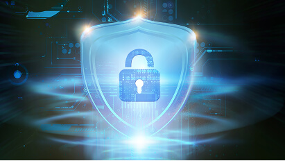 Security Audits & Vulnerability Assessments